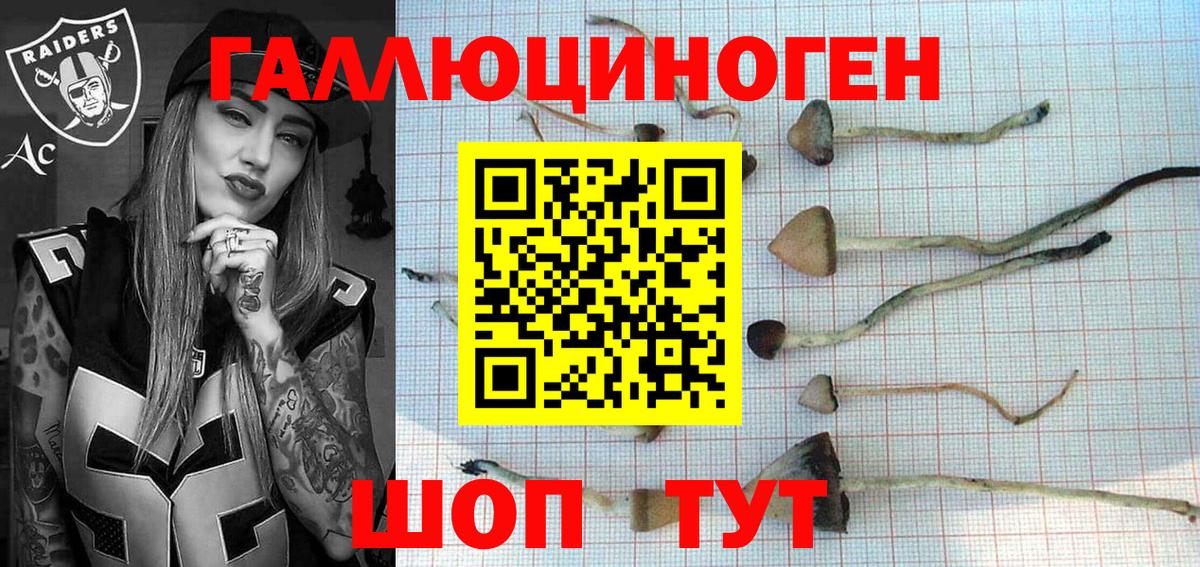 Псилоцибиновые грибы прущие грибы  Вход с VPN  Луга 